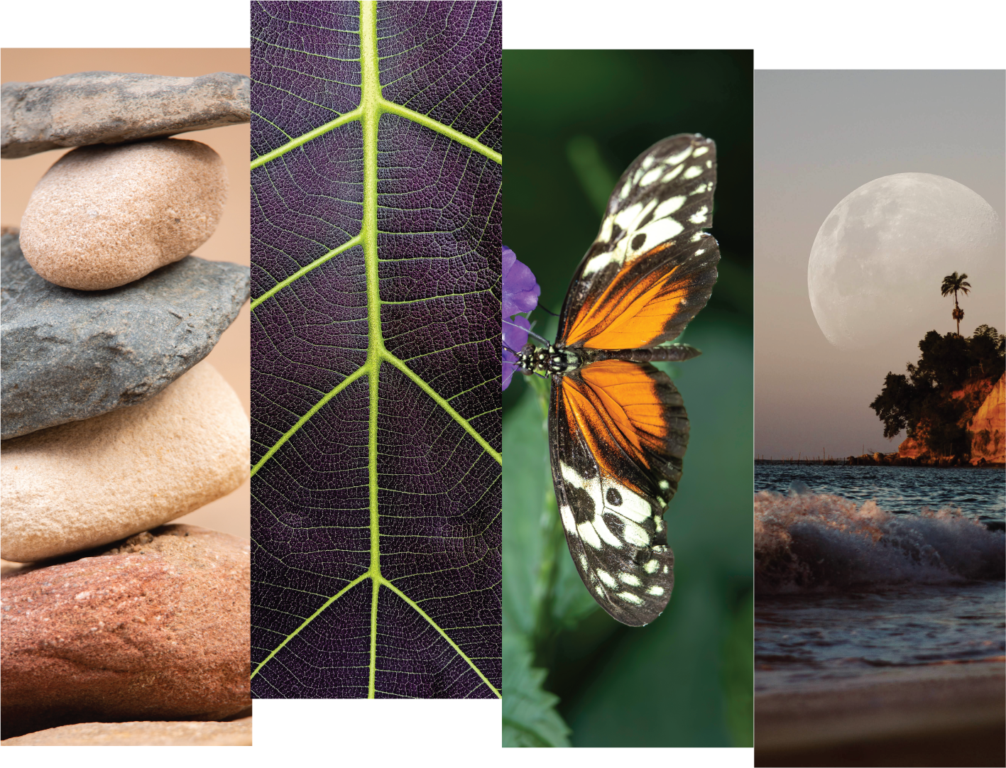 Nature Balances